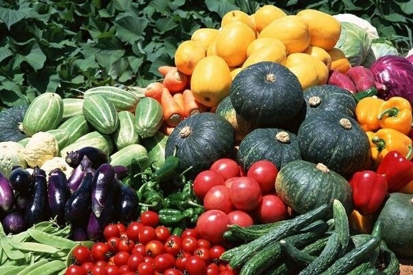 無(wú)公害農(nóng)產(chǎn)品、綠色食品、有機(jī)食品